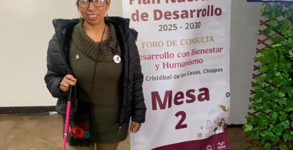 Amor Sin Fronteras A.C; presente en la “consulta” para el Plan Nacional de Desarrollo 2025-2030